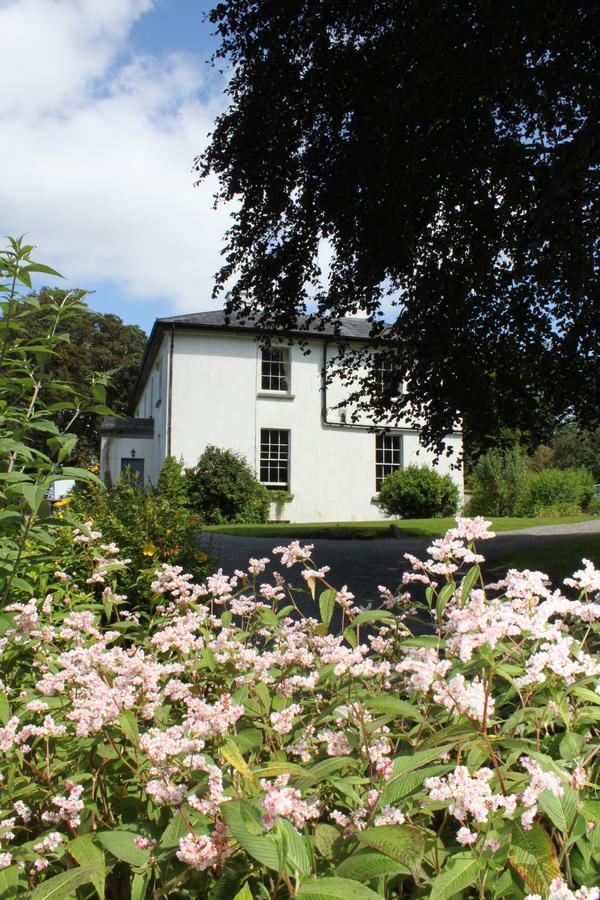 Lough Bawn House Bed & Breakfast Collinstown  Екстериор снимка