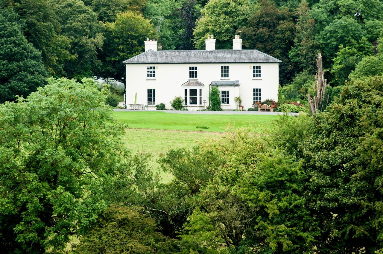 Lough Bawn House Bed & Breakfast Collinstown  Екстериор снимка